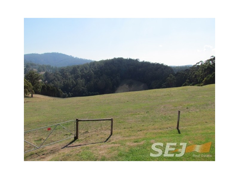 46 Dick Clark Lane, Jindivick VIC 3818