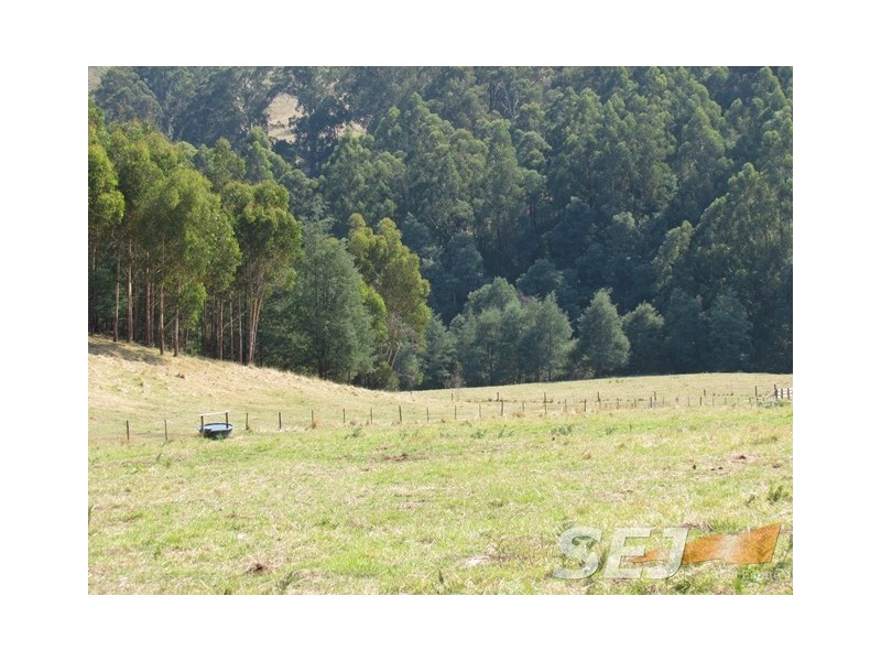 46 Dick Clark Lane, Jindivick VIC 3818