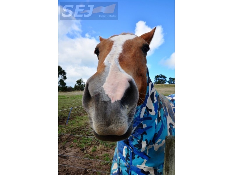 8790 South Gippsland Highway, Kardella South VIC 3950