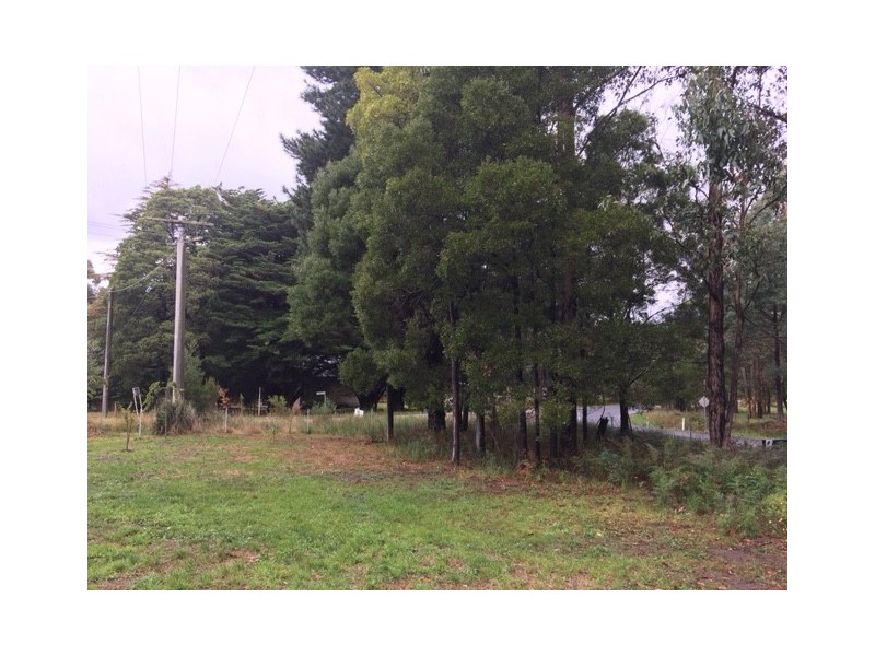 1 Binginwarri School Rd, Binginwarri VIC 3966