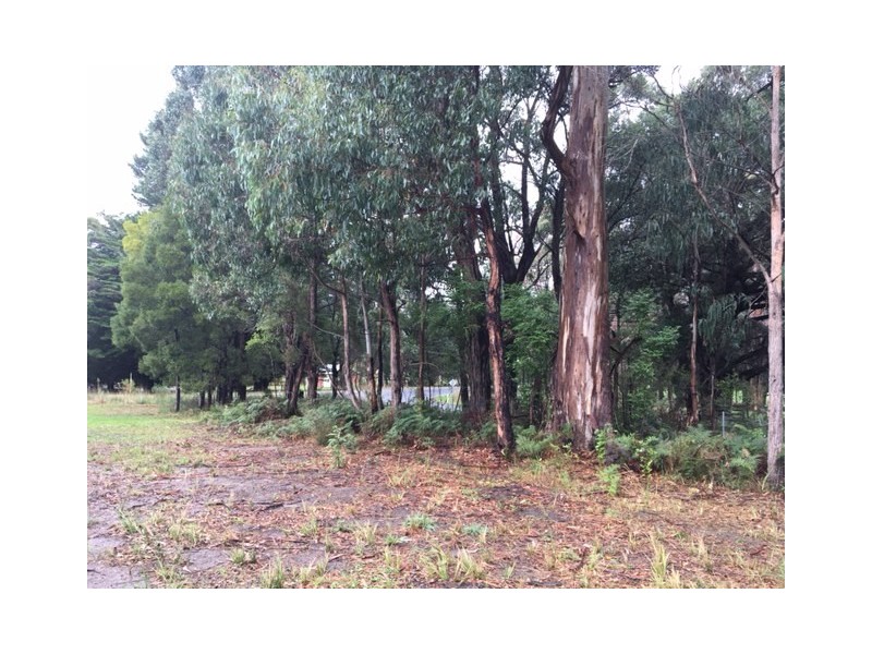 1 Binginwarri School Rd, Binginwarri VIC 3966