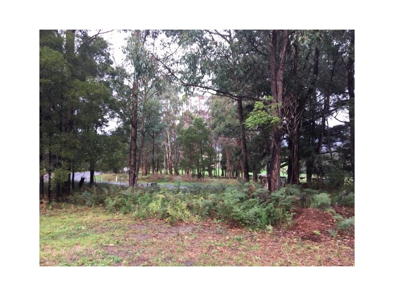 1 Binginwarri School Rd, Binginwarri VIC 3966