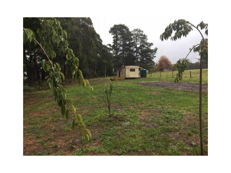 1 Binginwarri School Rd, Binginwarri VIC 3966