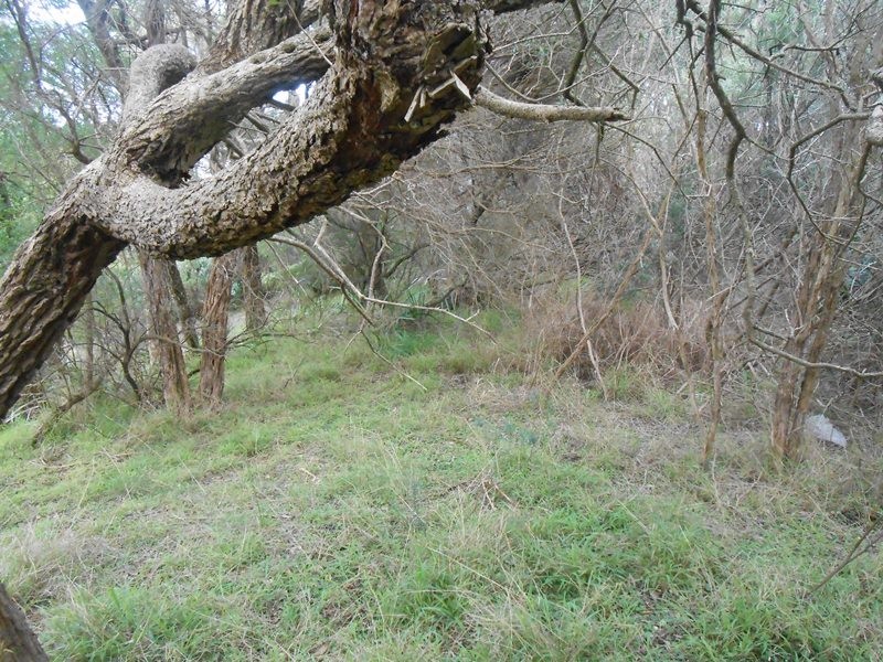 64 Sunshine Rise, Sandy Point VIC 3959