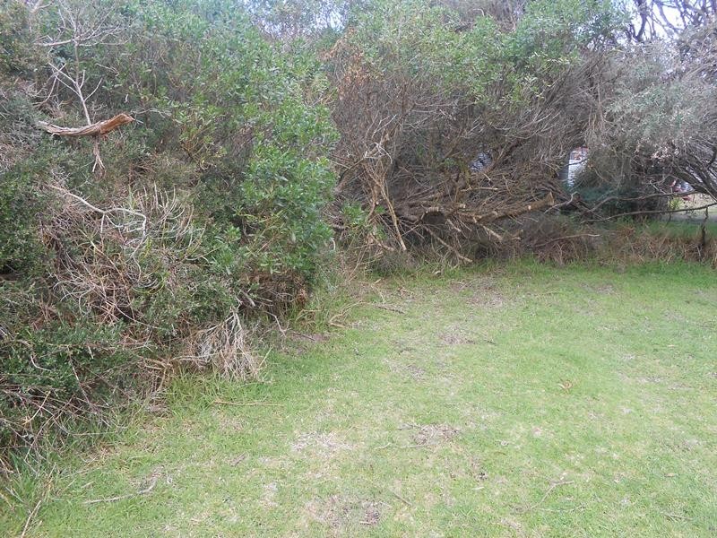 64 Sunshine Rise, Sandy Point VIC 3959