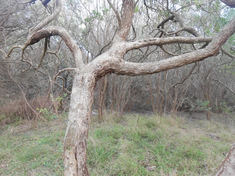 64 Sunshine Rise, Sandy Point VIC 3959