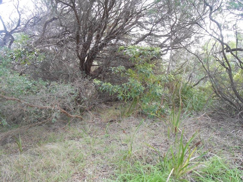 64 Sunshine Rise, Sandy Point VIC 3959