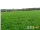 Clifton Road, Athlone VIC 3818