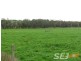 Clifton Road, Athlone VIC 3818