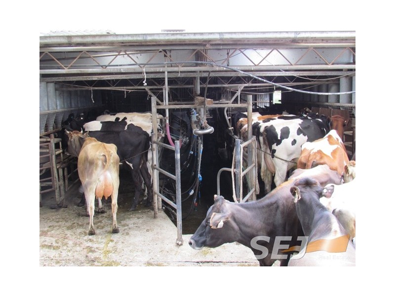 135 Sheffield Road, Neerim South VIC 3831