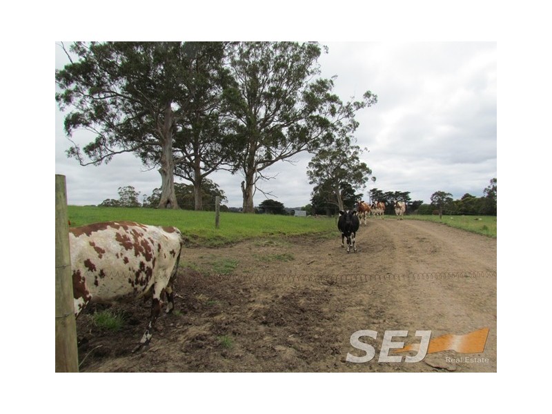 135 Sheffield Road, Neerim South VIC 3831