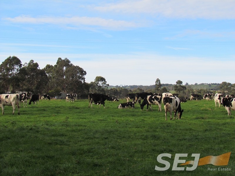 270 North Yannathan Road, Modella VIC 3816