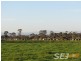 270 North Yannathan Road, Modella VIC 3816
