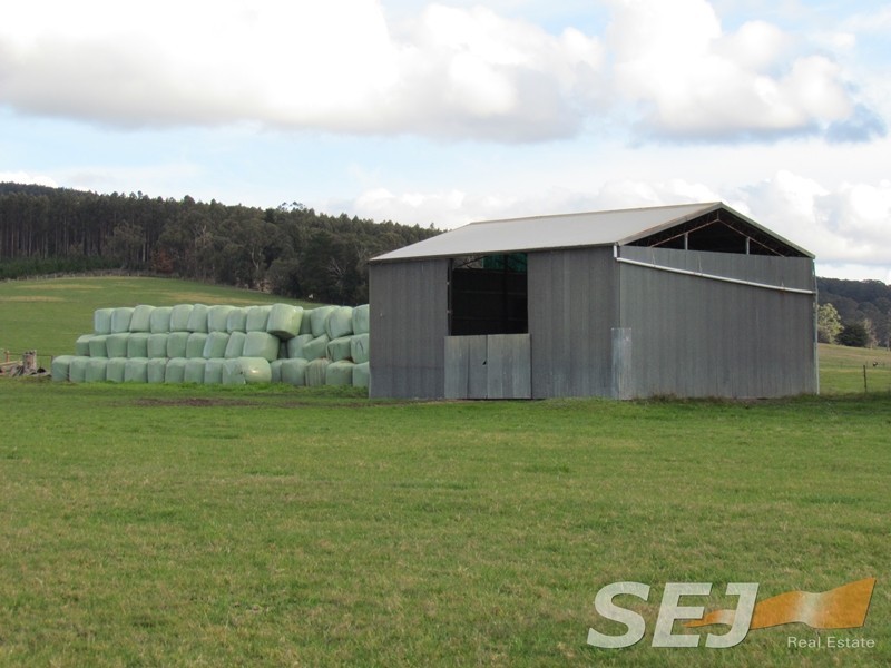 145 Mountain Glen Drive, Trafalgar East VIC 3824