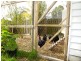 4 Waterloo Road, Trafalgar VIC 3824
