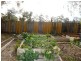 4 Waterloo Road, Trafalgar VIC 3824