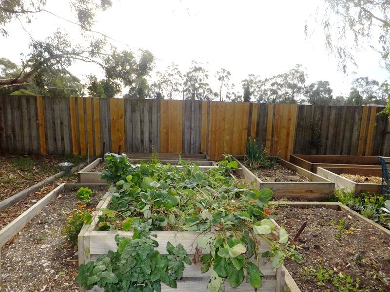 4 Waterloo Road, Trafalgar VIC 3824