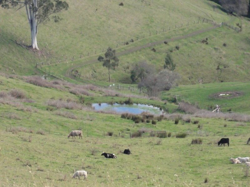 405 Mccartins Rd, Turtons Creek VIC 3960