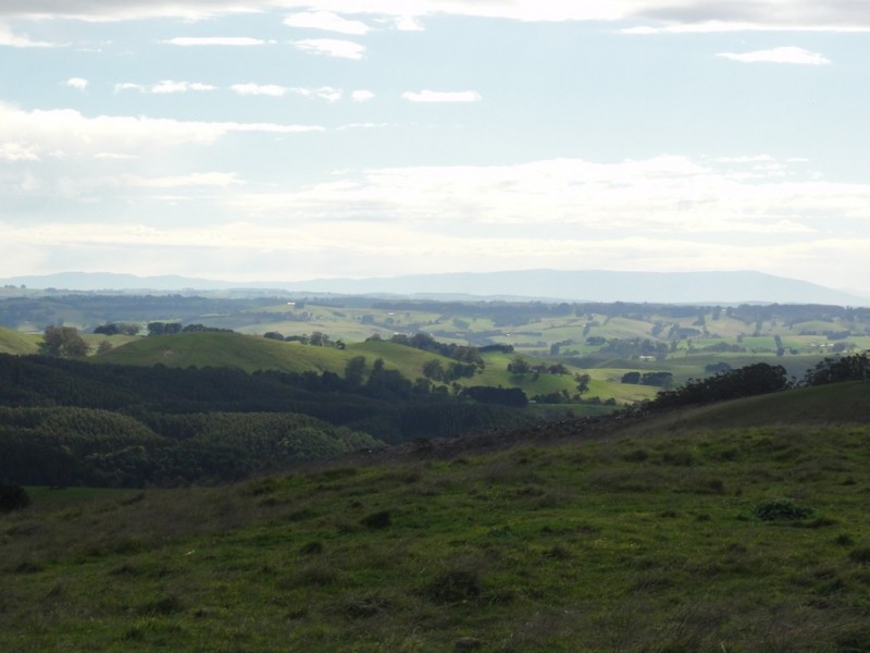 405 Mccartins Rd, Turtons Creek VIC 3960