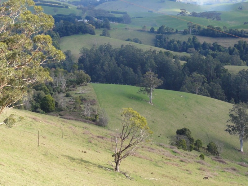 405 Mccartins Rd, Turtons Creek VIC 3960