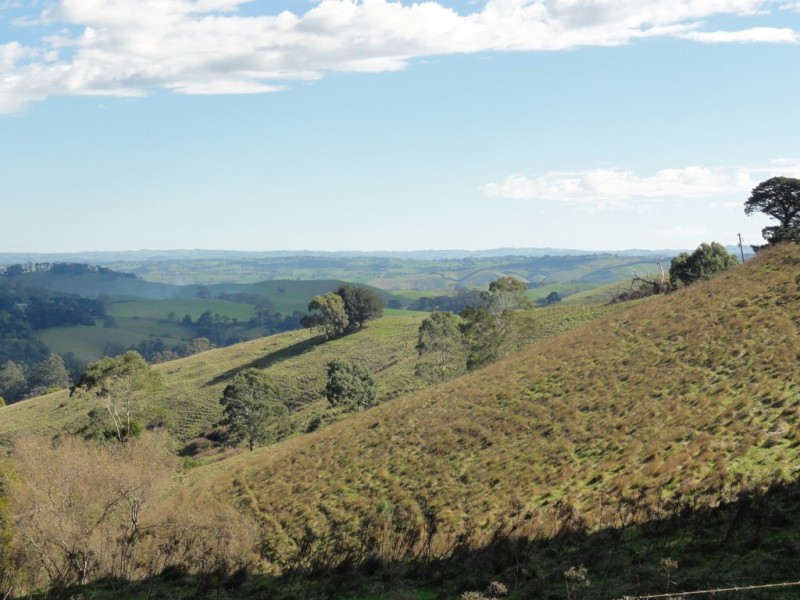 405 Mccartins Rd, Turtons Creek VIC 3960