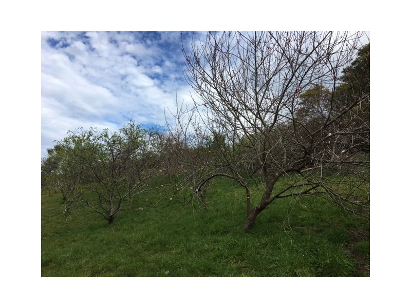 170 Meikle Rd, Fish Creek VIC 3959