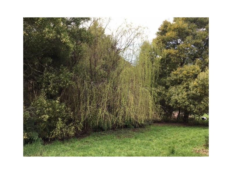 170 Meikle Rd, Fish Creek VIC 3959