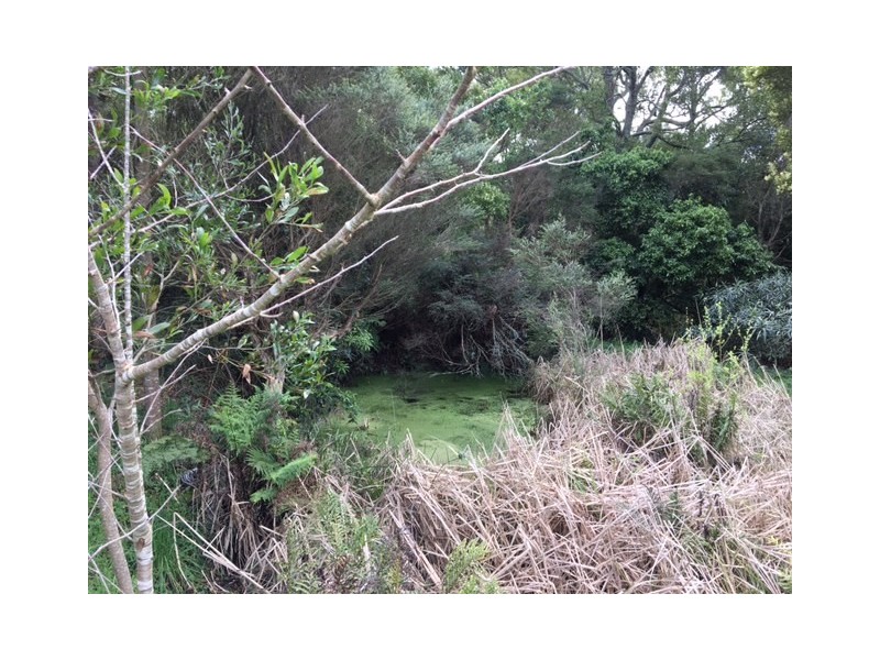 170 Meikle Rd, Fish Creek VIC 3959