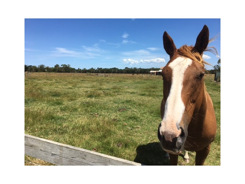 11 Wilkinsons Rd, Toora VIC 3962
