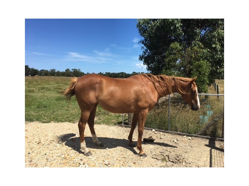 11 Wilkinsons Rd, Toora VIC 3962