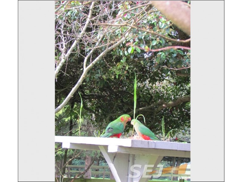 290 Sheehan Road, Hallora VIC 3818