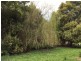 170 Meikle Rd, Fish Creek VIC 3959