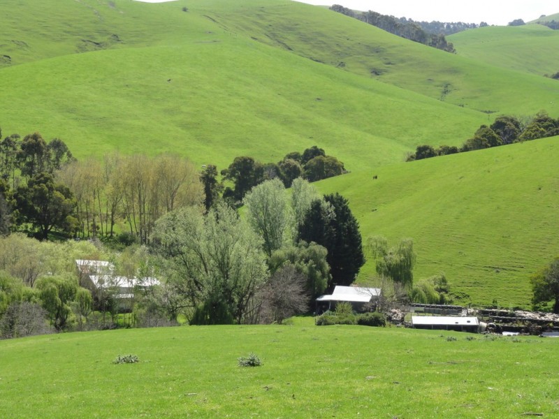 140 Franklin River Rd, Toora VIC 3962