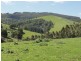 140 Franklin River Rd, Toora VIC 3962