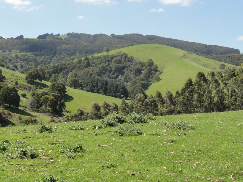 140 Franklin River Rd, Toora VIC 3962