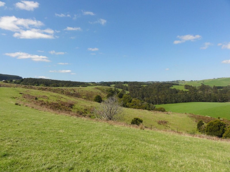 140 Franklin River Rd, Toora VIC 3962