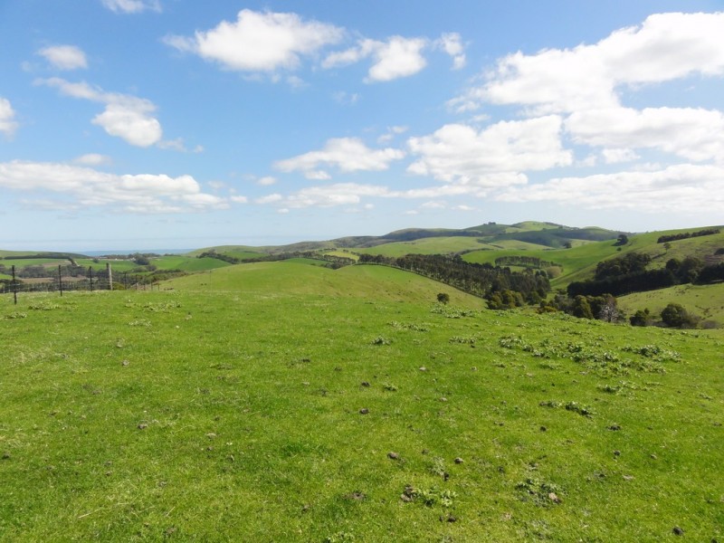 140 Franklin River Rd, Toora VIC 3962