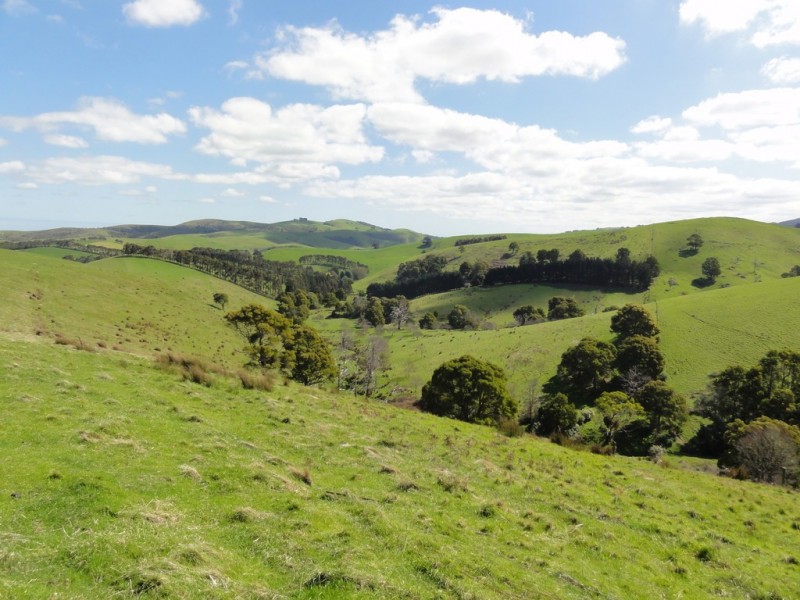 140 Franklin River Rd, Toora VIC 3962