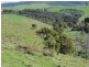 140 Franklin River Rd, Toora VIC 3962