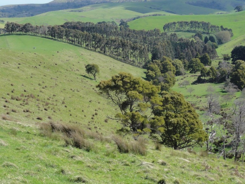 140 Franklin River Rd, Toora VIC 3962