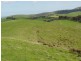 140 Franklin River Rd, Toora VIC 3962