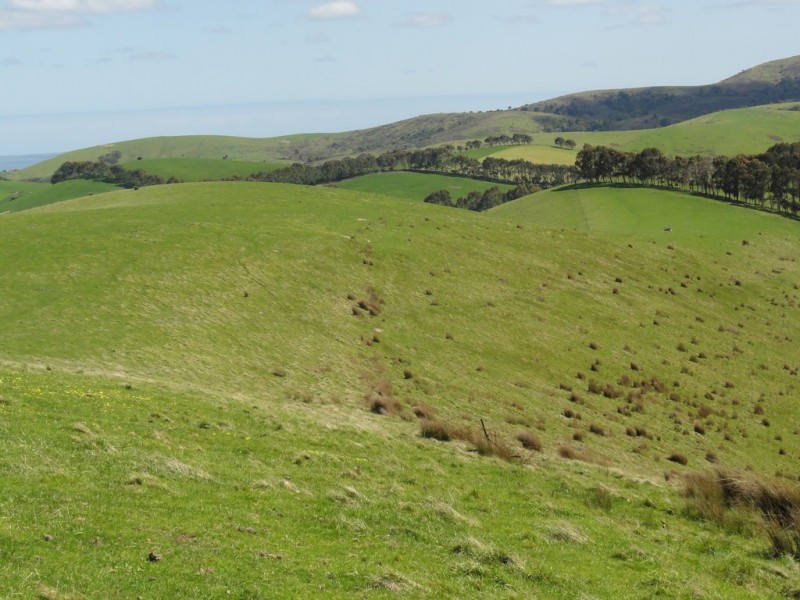 140 Franklin River Rd, Toora VIC 3962
