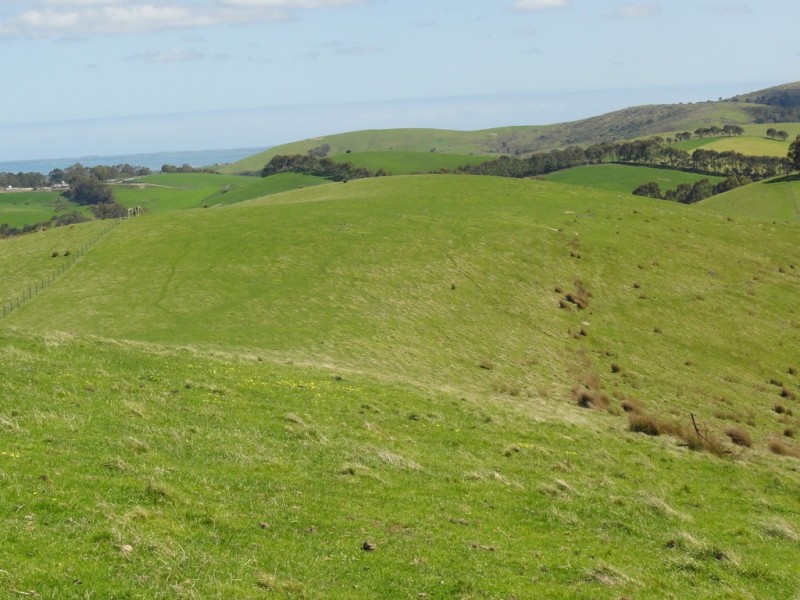 140 Franklin River Rd, Toora VIC 3962