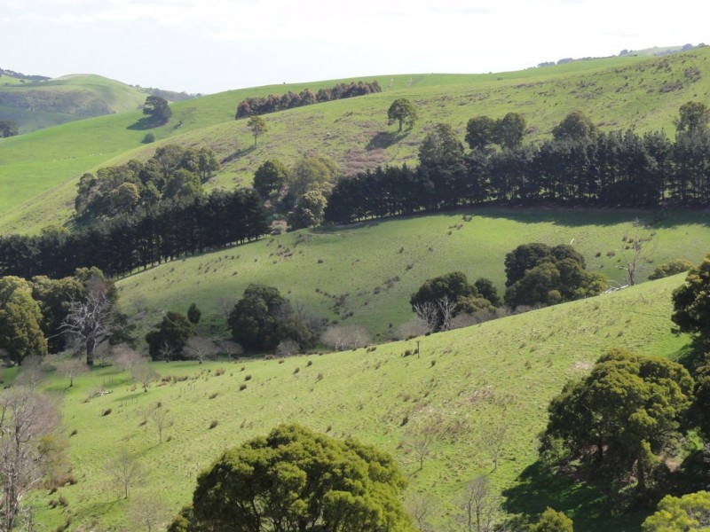 140 Franklin River Rd, Toora VIC 3962