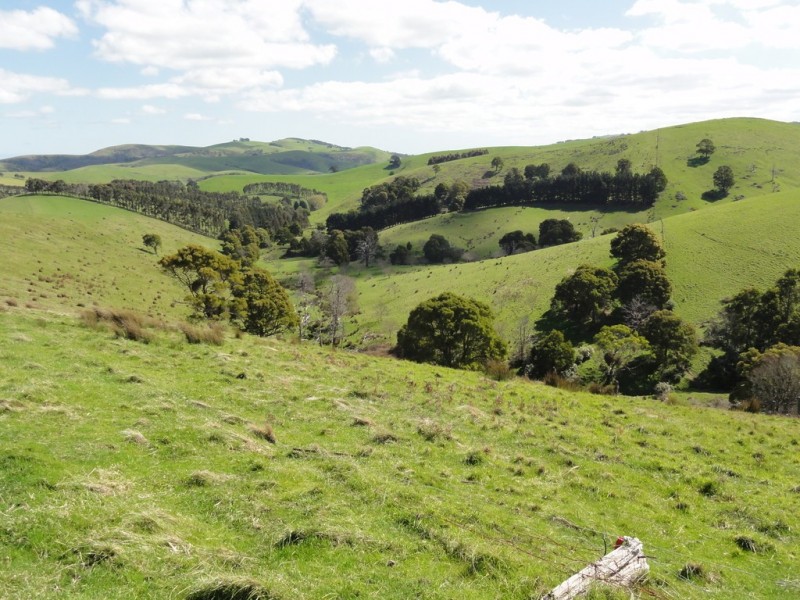 140 Franklin River Rd, Toora VIC 3962
