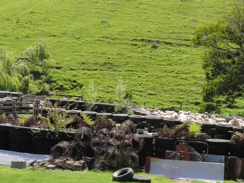 140 Franklin River Rd, Toora VIC 3962