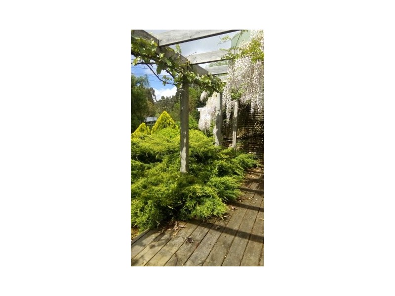 140 Franklin River Rd, Toora VIC 3962