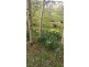140 Franklin River Rd, Toora VIC 3962