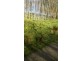 140 Franklin River Rd, Toora VIC 3962