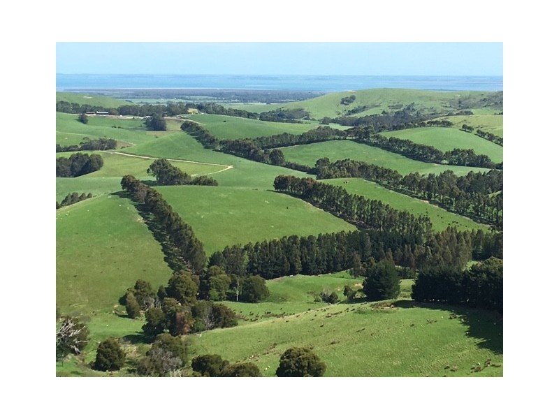 307 Toora-Gunyah Rd, Toora VIC 3962